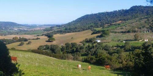 Vejer de la frontera